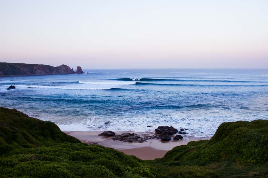 Phillip Island: Hike and Penguin Parade - 8 pax Small Tour - Key Things to Know Before You Go