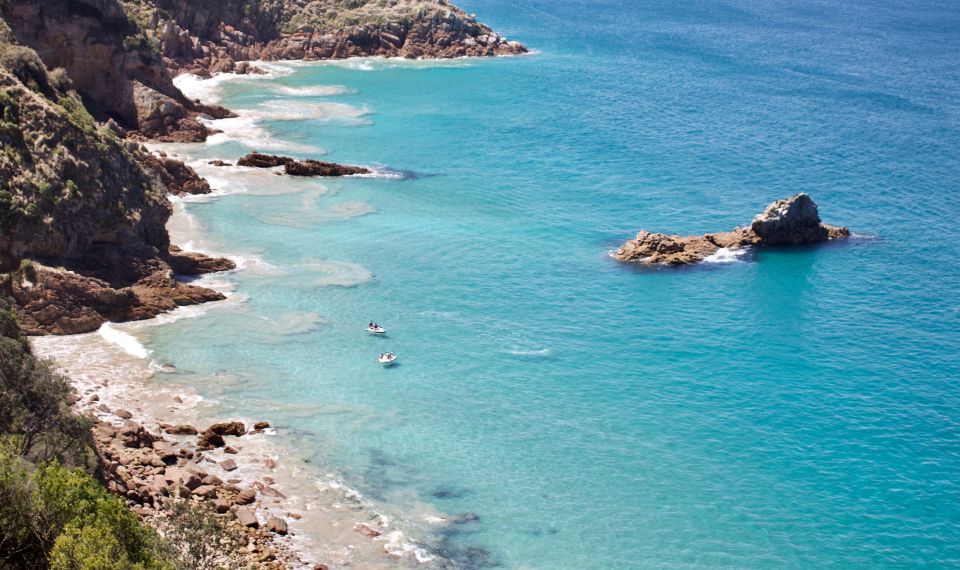 Phillip Island: Hike and Penguin Parade - 8 pax Small Tour - Who Should Book This Hike and Penguin Parade Tour?