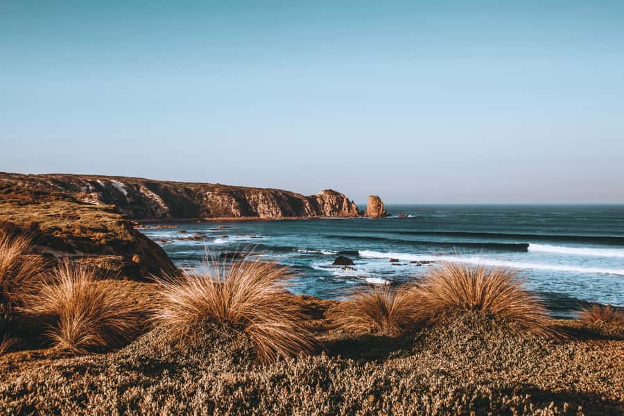 Phillip Island: Hike and Penguin Parade - 8 pax Small Tour - From St Kilda to Phillip Island: A Day That Starts Easy