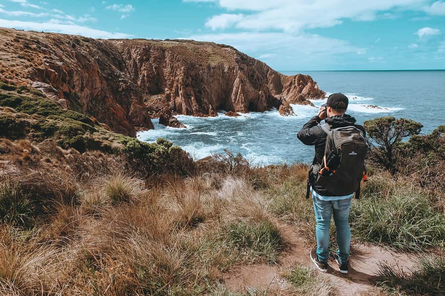 Phillip Island: Hike and Penguin Parade - 8 pax Small Tour - Phillip Island Koala Reserve: The Eucalyptus Woodlands Moment