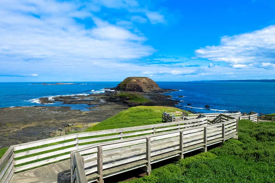 Phillip Island: Hike and Penguin Parade - 8 pax Small Tour - The Nobbies Boardwalk and Blowhole: Seals, Sea Birds, and Big Noise