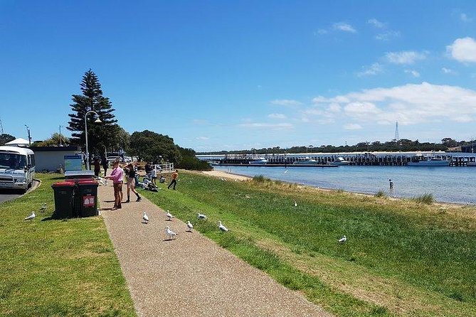 Phillip Island Penguin and wildlife Tour - Walter and the value of a small-group guide