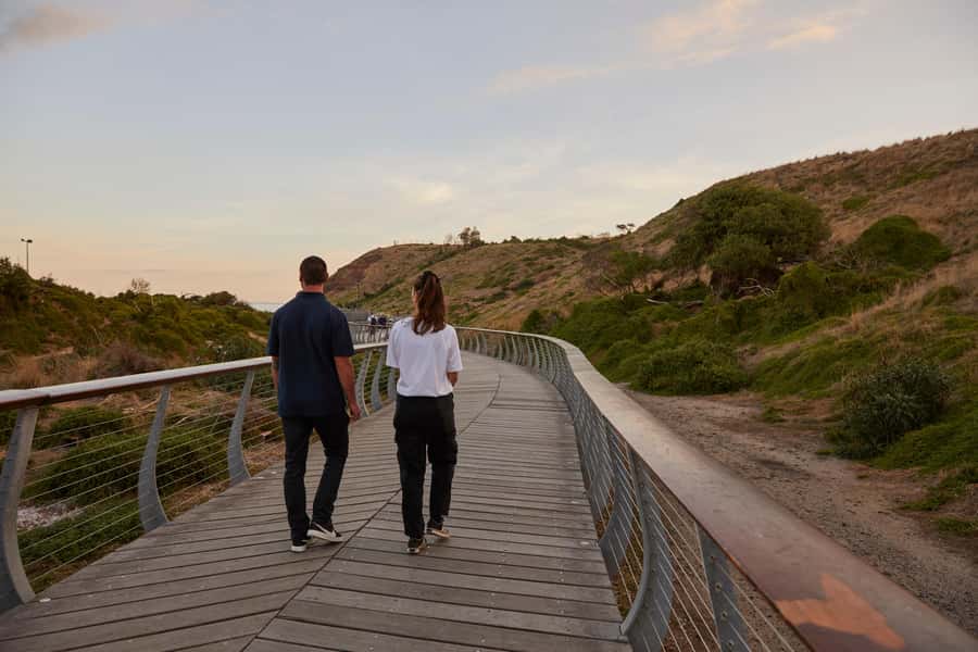 Phillip Island Penguin Direct Sunset Tour - Should you book the Phillip Island Penguin Direct Sunset Tour?