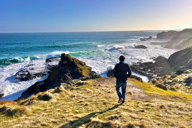 Phillip Island & Penguin Parade Afternoon Eco Tour from Melbourne - Key things I’d bookmark before you go