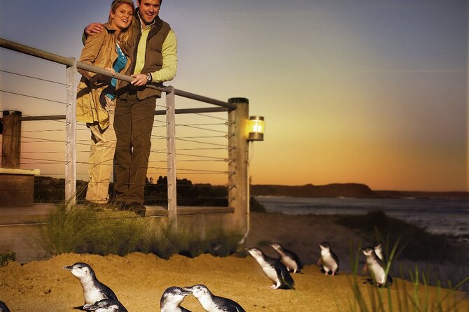 Phillip Island & Penguin Parade Afternoon Eco Tour from Melbourne - Price and value: what you’re paying for