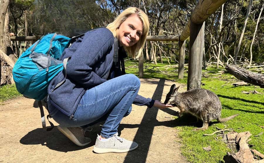 Phillip Island Penguin Parade with Expert Local Guide - Small-group comfort: what max 24 means in real life