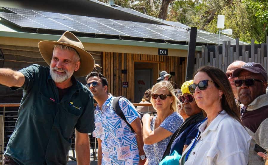 Phillip Island Penguin Parade with Expert Local Guide - Phillip Island’s wild coast: Cape Woolamai in summer season only