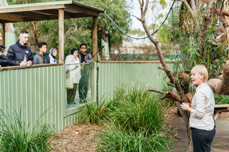 Phillip Island Penguin Parade with Expert Local Guide - Price and value: what $116 really buys you
