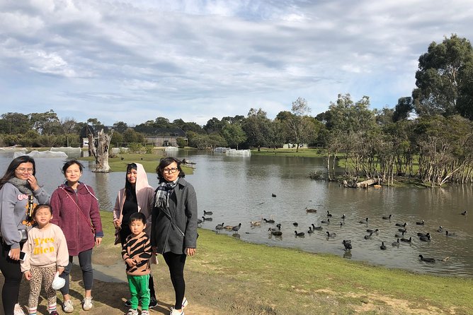 Phillip Island Penguins Private Adventure - Stop 4: The Nobbies Centre Boardwalk for Bay Views and Penguin Chicks