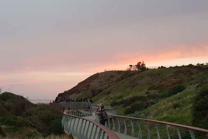 Phillip Island Private Experience - Penguin Parade Options and How to Choose the Right Viewing Style