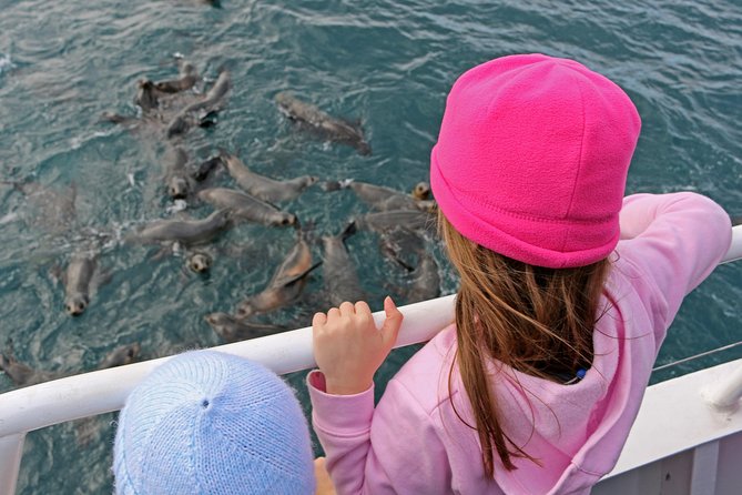 Phillip Island Seal-Watching Cruise - The Live Commentary and Historic Coastline Story
