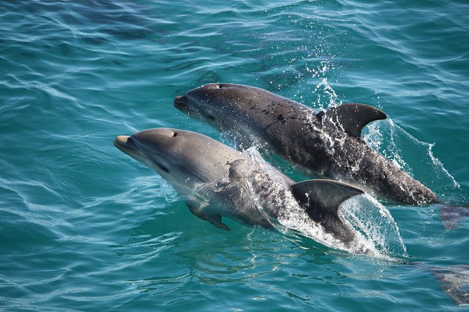 Phillip Island Sunset Cruise - The Route Highlights: Reef Island, Churchill Island, Elizabeth Island