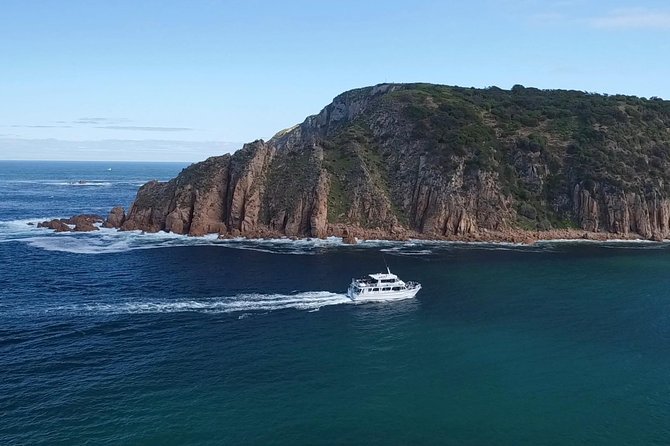 Phillip Island Sunset Cruise - Price and Value: What $56.66 Buys You