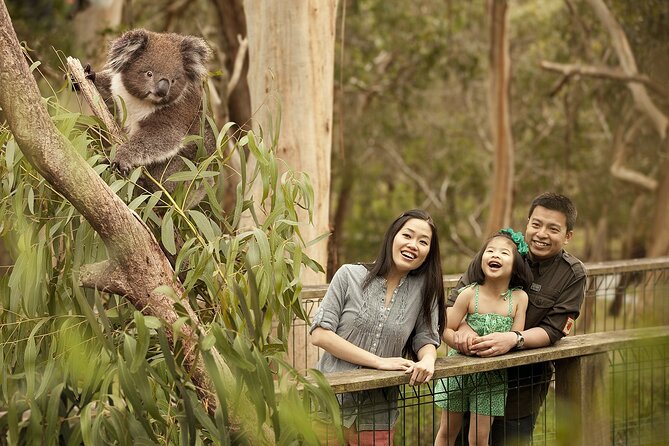 Phillip Island Tour - Koala's, Wallabies & Little Penguins. - Passing San Remo and lining up the afternoon
