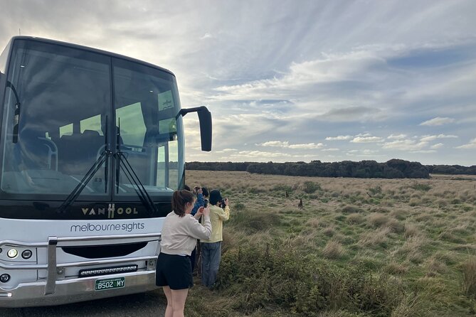 Phillip Island Tour - Koala's, Wallabies & Little Penguins. - Nobbies Centre at Seal Rocks: short walk, big viewpoints