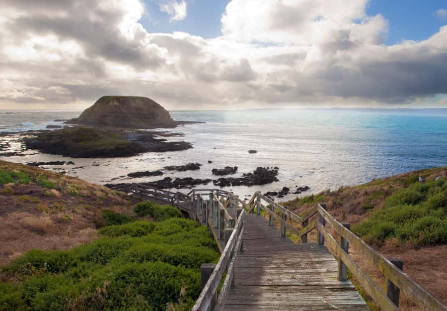 Phillip Island Wildlife & Brighton Beach Boxes Private Tour - How this private tour is built for an easy, high-impact day