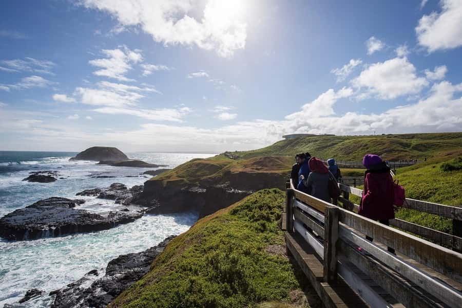 Phillip Island Wildlife & Brighton Beach Boxes Private Tour - Language support: how the app can help your whole group