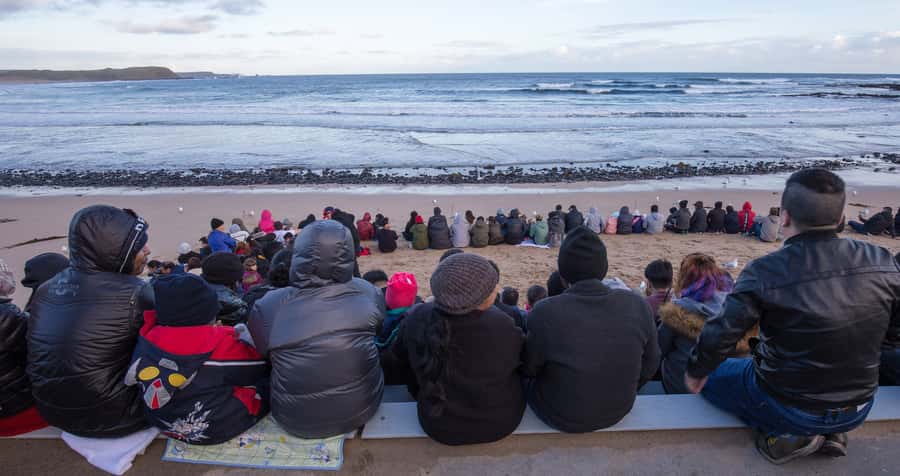 Phillip Island Wildlife & Brighton Beach Boxes Private Tour - Price and value: what you’re paying for (and what you’re not)