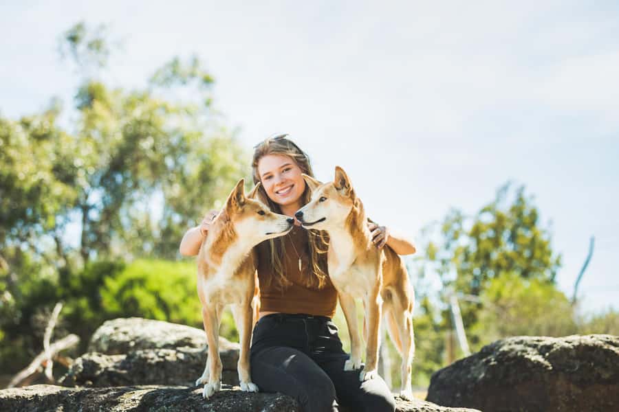 Phillip Island Wildlife & Brighton Beach Boxes Private Tour - Comfort, packing, and the rules you should actually care about