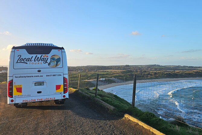 Phillip Island Wildlife Cruise and Penguin Tour from Melbourne - Penguin Parade at sunset: the main event