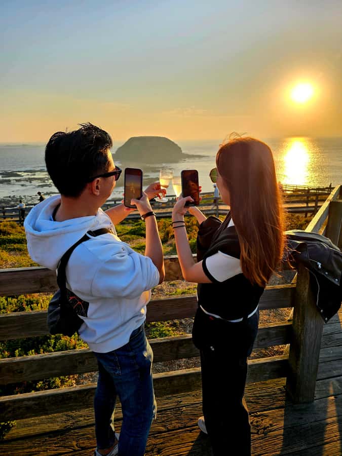 Phillip Island: Wine, Wildlife & Penguins with Gourmet Feast - An afternoon on Phillip Island that actually feels like a plan