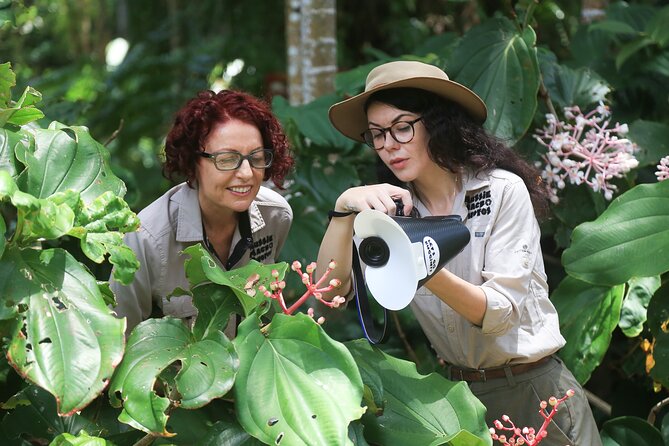 Photography and Nature in Cairns Botanic Gardens Let's Go Buggin - Cairns Botanic Gardens becomes a macro hunting ground