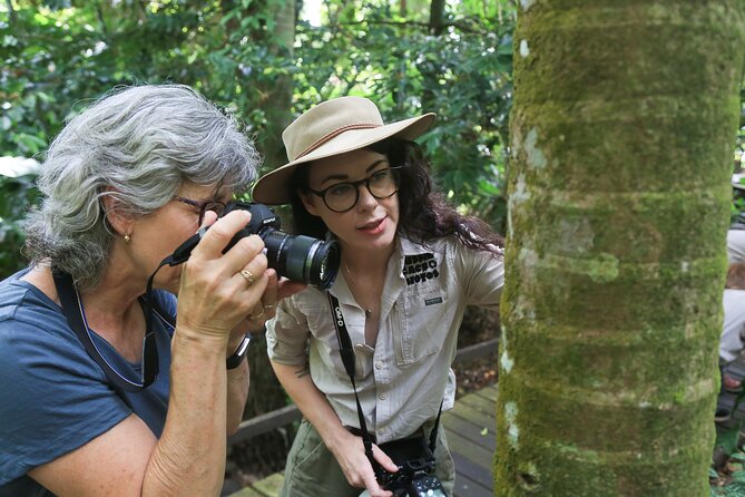Photography and Nature in Cairns Botanic Gardens Let's Go Buggin - Getting the most out of your morning (before you even arrive)