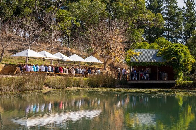 Picnic and Wine Tasting Experience in the Barossa Valley - The Setting: Why This Feels Like a Real Day Off