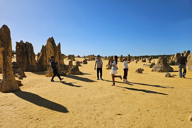 Pinnacle Day Adventure Tour - Key Highlights to Know Before You Go