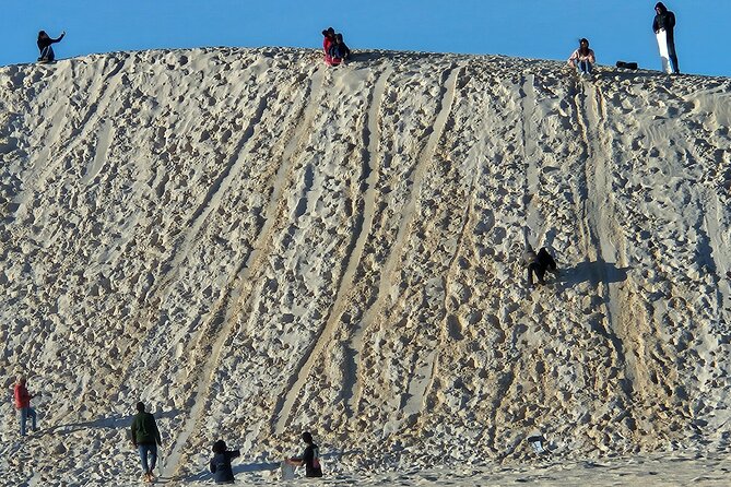 Pinnacle Day Adventure Tour - Lancelin Sand Dunes: When Sandboarding Is the Real Payoff