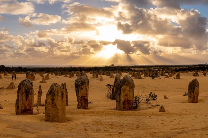 Pinnacle Desert Sunset and Night-time Stargazing Tour from Perth - Key things that make this tour worth your time