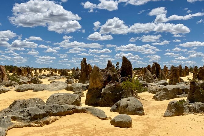 Pinnacles Day Tour - Key Takeaways Before You Go