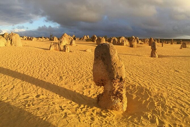 Pinnacles Day Tour - Yanchep National Park: Wildlife First, Nice and Natural