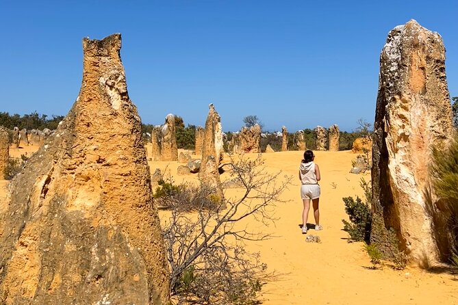 Pinnacles Desert and Catch Your Own Lobster Lunch Safari. - Lancelin Sand Dunes: choose your style—action or chill