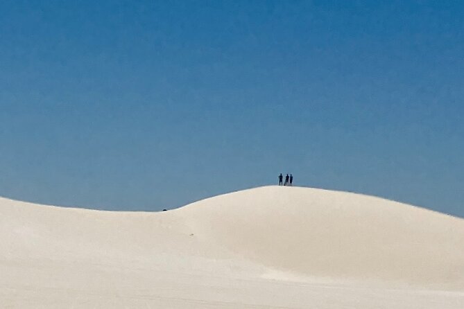 Pinnacles Desert and Catch Your Own Lobster Lunch Safari. - Value and logistics: is $265.38 worth it?