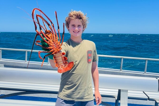 Pinnacles Desert and Catch Your Own Lobster Lunch Safari. - Cervantes Lobster Safari: learning the real rhythm of crayfish work