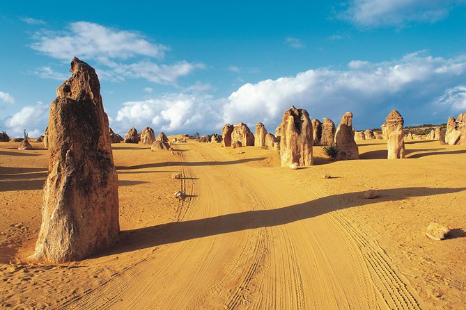 Pinnacles Desert, Koalas and Sandboarding 4WD Day Tour from Perth - Key things to notice before you go