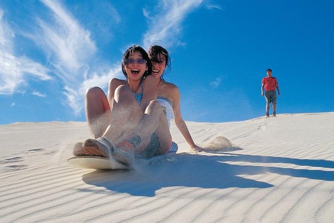 Pinnacles Desert, Koalas and Sandboarding 4WD Day Tour from Perth - A Big Perth Day Trip: What You Really Get for $179.31