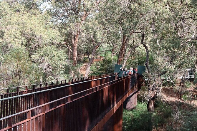 Pinnacles Desert, Koalas and Sandboarding 4WD Day Tour from Perth - Timing and logistics: why the day can feel full (and how to make it easier)