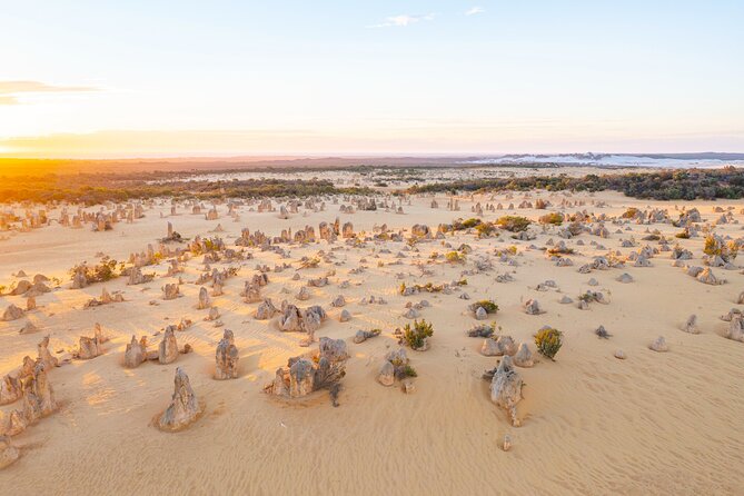 Pinnacles Desert Lobster Tour from Perth - Cervantes Lobster Shack: seaside meal stop with a value question