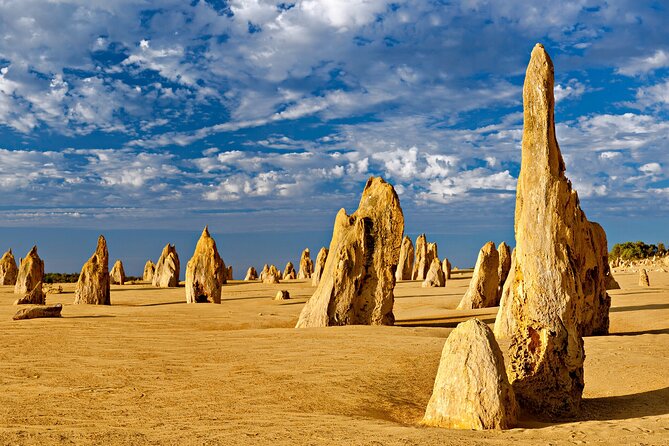 Pinnacles Desert Lobster Tour from Perth - Lake Thetis boardwalk: stromatolites and a quieter kind of wow