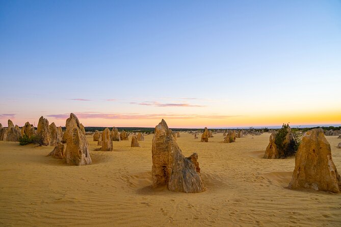 Pinnacles Desert Lobster Tour from Perth - Nambung National Park vibes: desert-meets-ocean energy