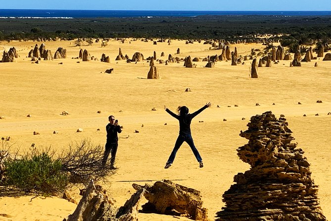 Pinnacles Desert Private Day Tour - Key takeaways