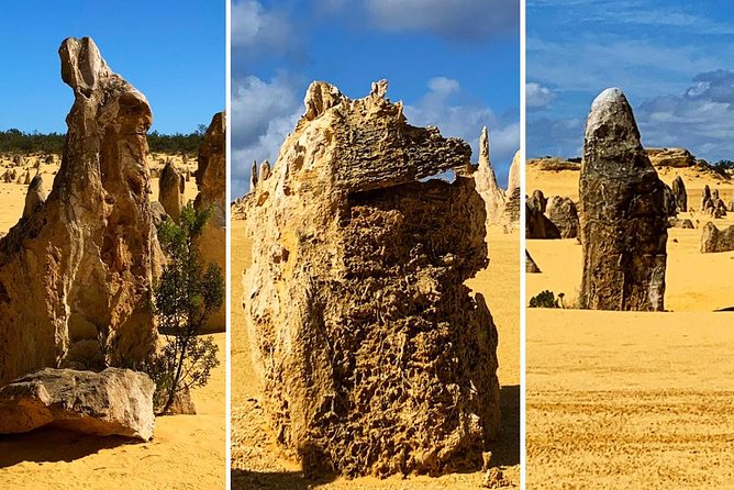 Pinnacles Desert Private Day Tour - Yanchep National Park: worth it if you want wildlife time