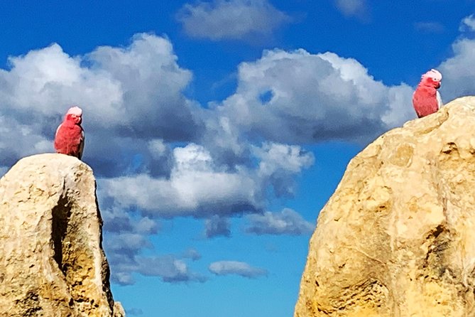 Pinnacles Desert Private Day Tour - Cervantes lunch: choose your meal without losing the schedule