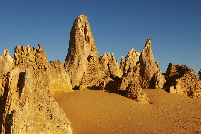 Pinnacles Desert Private Tour - Lancelin Sand Dunes: why the bright white sand is the star