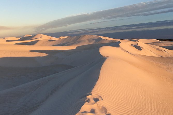 Pinnacles Desert Private Tour - Cervantes lunch: waterfront lobster (and options if you prefer)