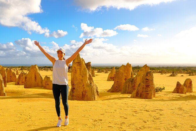 Pinnacles Desert Sunset Stargazing Adventure Tour from Perth - Price and value: what you’re really paying for