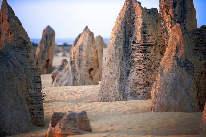 Pinnacles Desert, Yanchep and Swan Valley with Lunch - A One-Day Perth North Run: Pinnacles, Wildlife, and Swan Valley Tastes