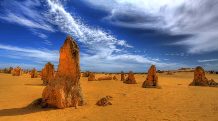 Pinnacles, Koalas, 4WD & Sandboarding Tour from Perth - From Perth Pickup to a Full Day North: The Real Pace You’ll Feel